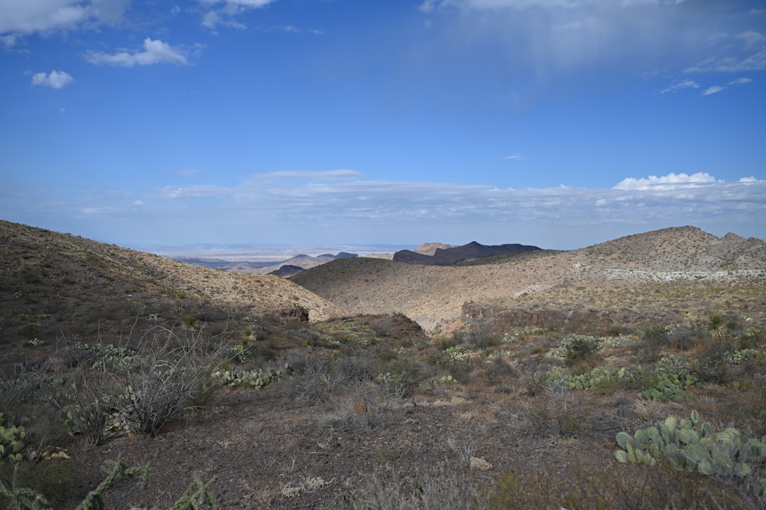 Getting a U.S. Passport in Southmayd, TX: Complete Guide