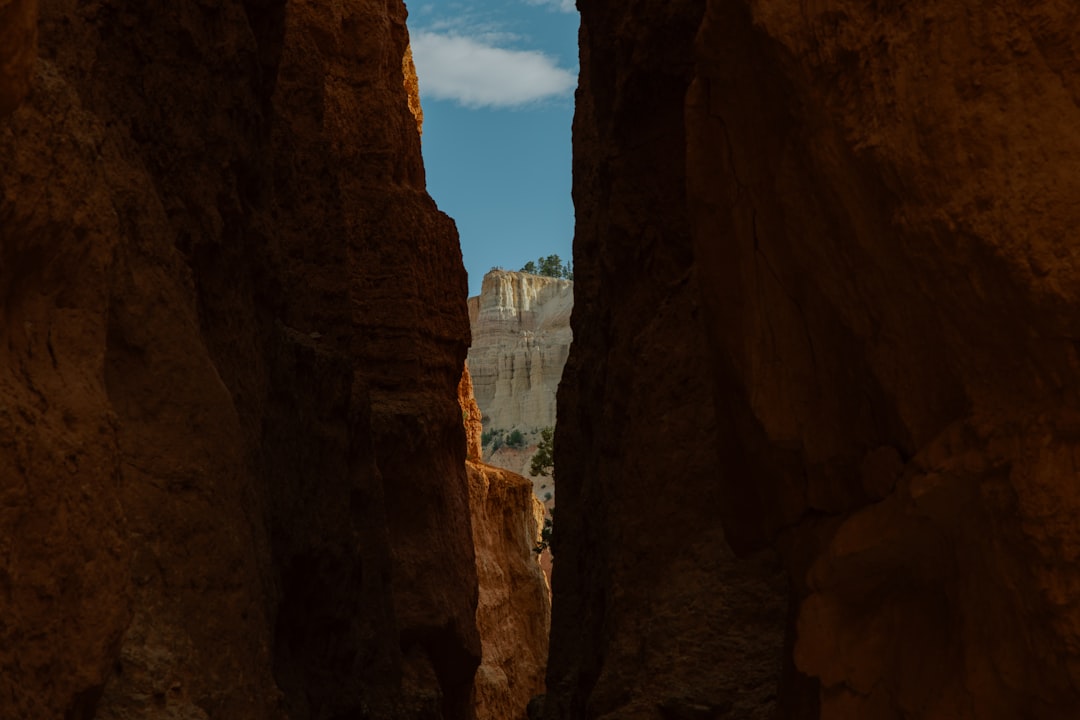 Getting a U.S. Passport in Wallsburg, UT: Full Guide