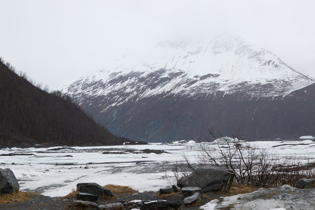 Getting Passport from Levelock AK: Bush Flights & Forms