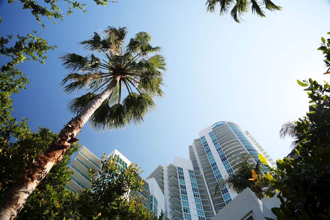 Getting Passport in Avon Park FL: Facilities Checklists Tips