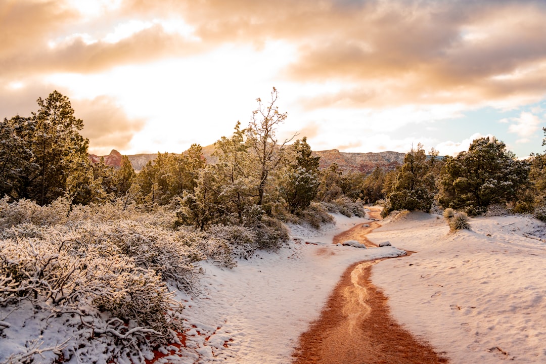 Getting Passport in Bellemont AZ: Steps, Facilities, Renewals