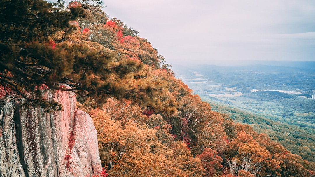 Getting Passport in Bulls Gap, TN: Checklists, Facilities, Tips