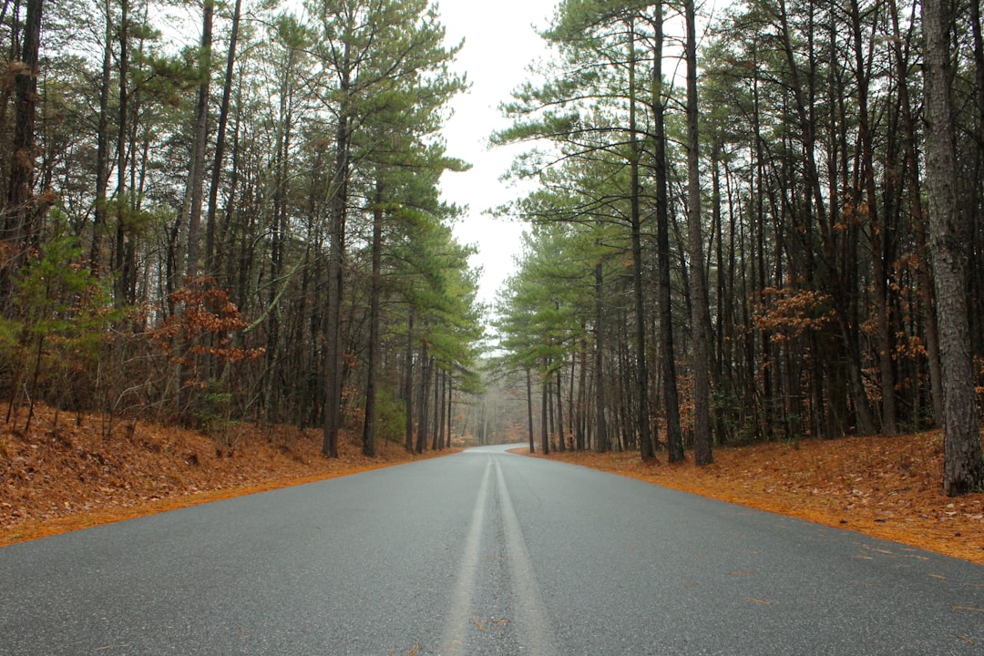 Getting Passport in Casar NC: Shelby & Kings Mountain Guide