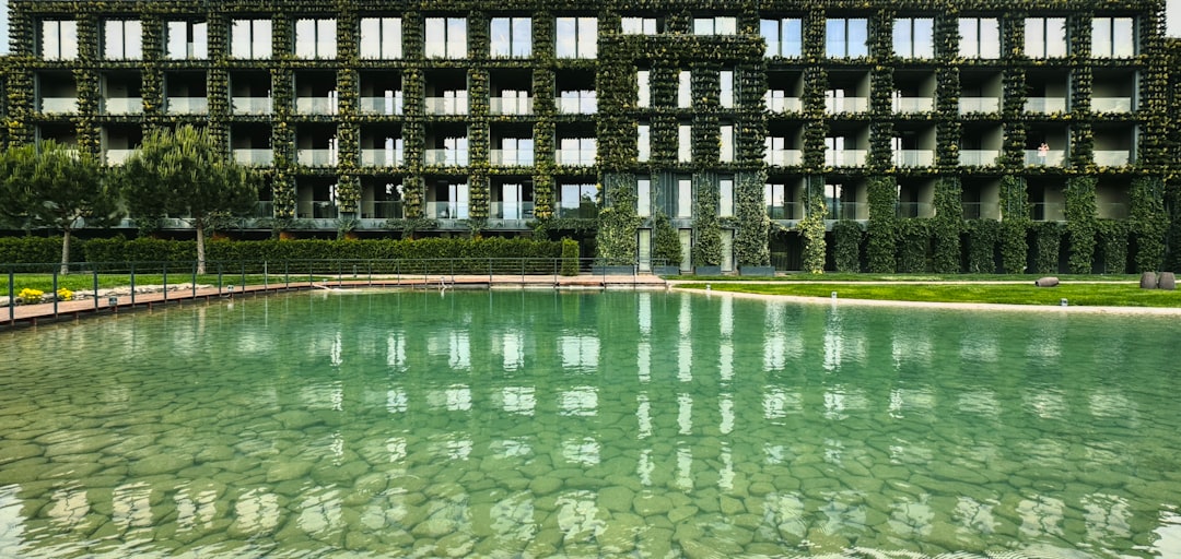 Getting Passport in East Griffin GA: Apply Renew Replace