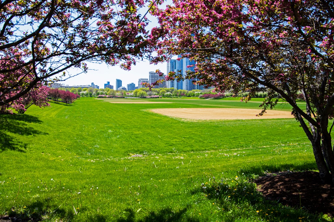 Getting Passport in Kincaid, IL: Nearby Facilities & Steps