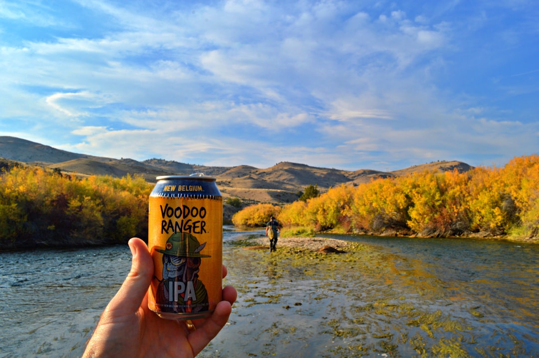 Getting Passport in Plains MT: Steps, Facilities & Pitfalls