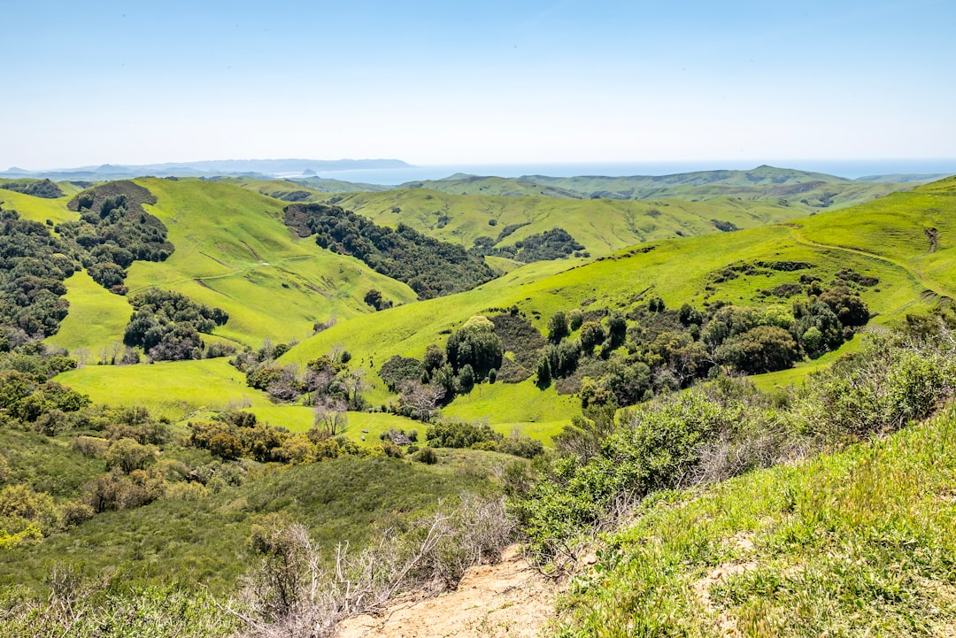 Getting Passport in Poso Park, CA: Steps, Facilities & Tips