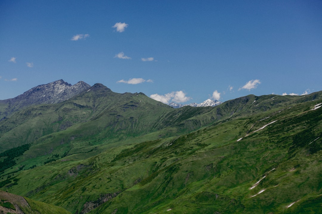 Getting Passport in Richmond Hill GA: PO, Forms, Fees & Tips