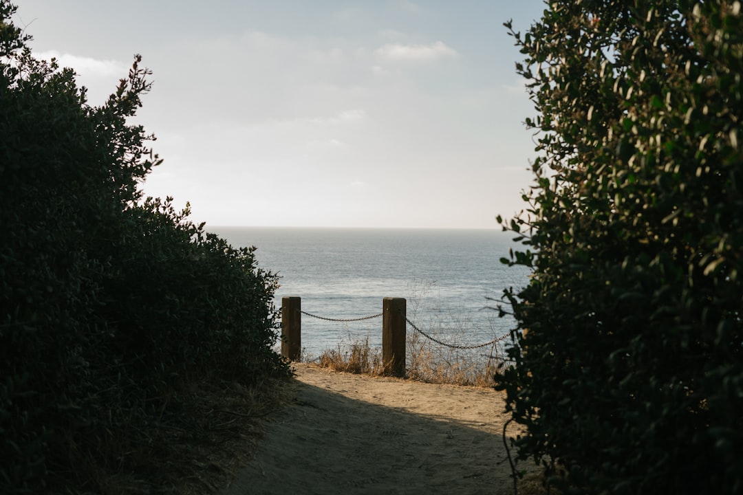 Getting Passport in Weott CA: Humboldt County Guide