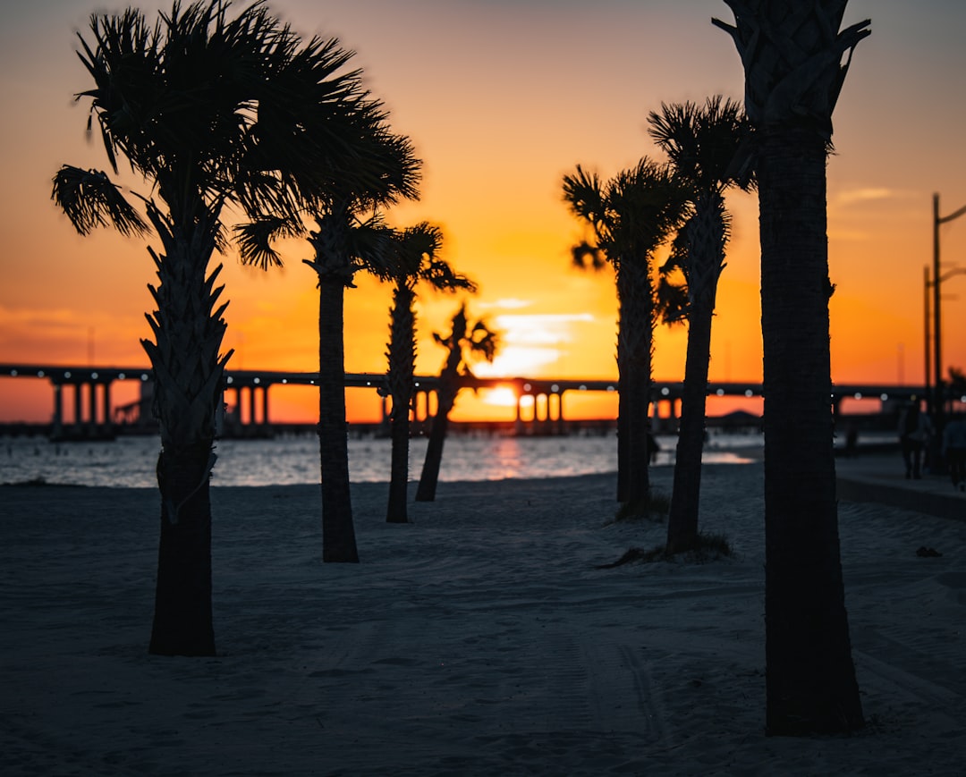 Getting U.S. Passport in Anguilla, MS: Application Guide