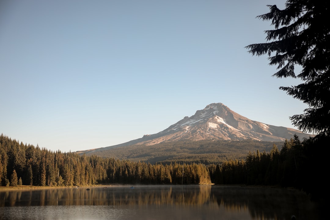 Getting U.S. Passport in Beavercreek, OR: Step-by-Step Guide