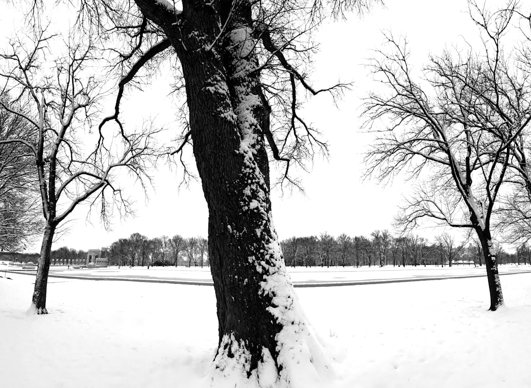 Getting US Passport in Clarkston WA: Steps & Local Facilities