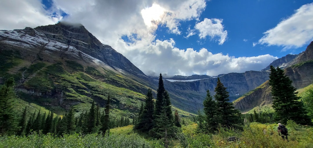 Getting Your Passport in Herron, MT: Step-by-Step Guide