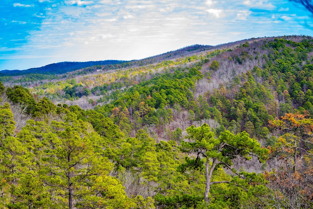 Getting Your Passport in Mount Judea, AR: Newton County Guide
