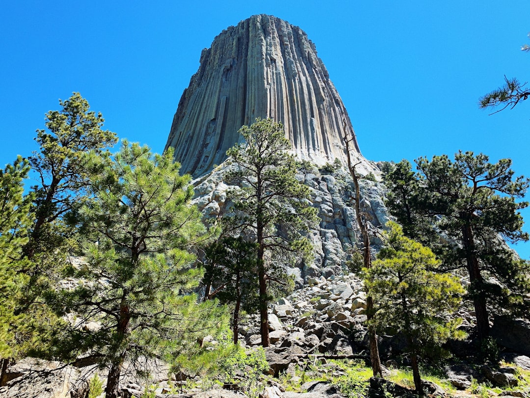 Getting Your Passport in Parkman, WY: Step-by-Step Guide