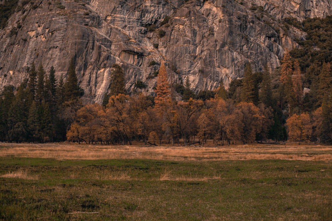 Granite Bay CA Passport Guide: New, Renewals, Local Facilities