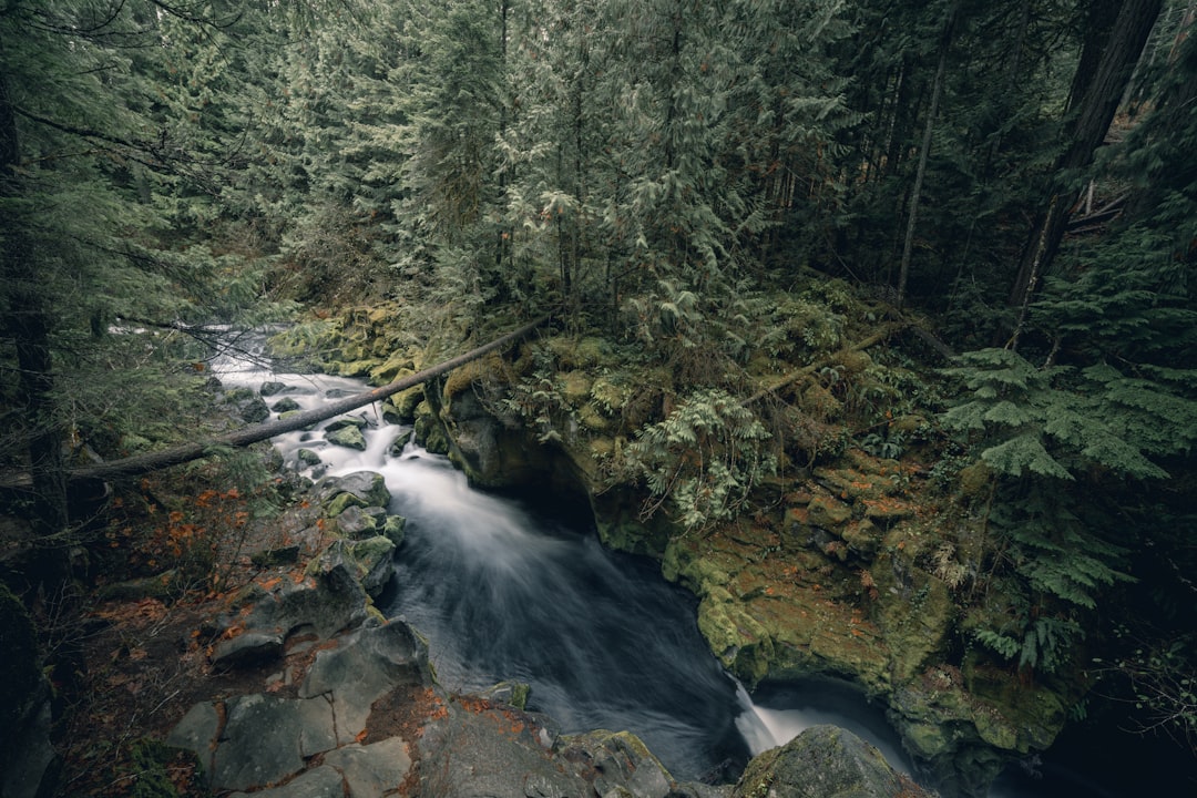 Granite, OR Passport Guide: Forms, Facilities & Checklists