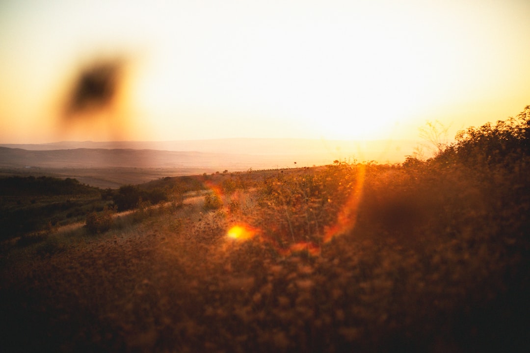 Greensboro GA Passport Guide: Facilities, Steps, Fees & Pitfalls