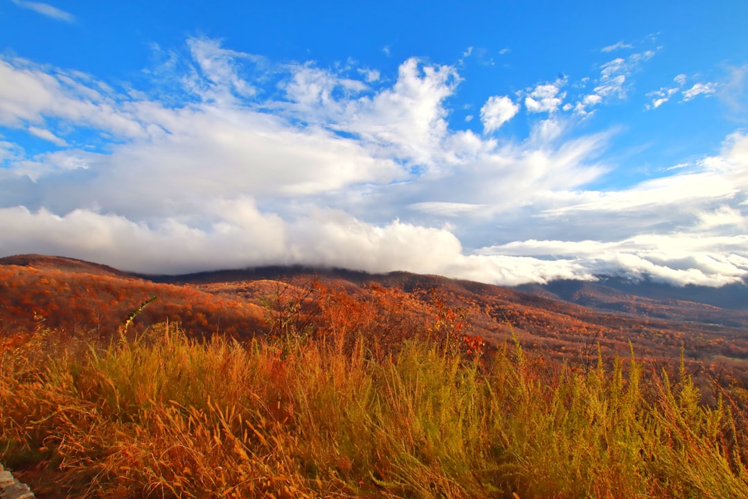 Guide to Getting a Passport in Alberta, VA: Steps, Forms, Locations