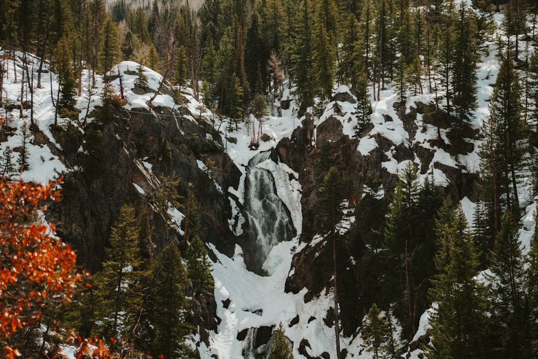 Guide to Getting a Passport in Center, CO: Facilities & Steps