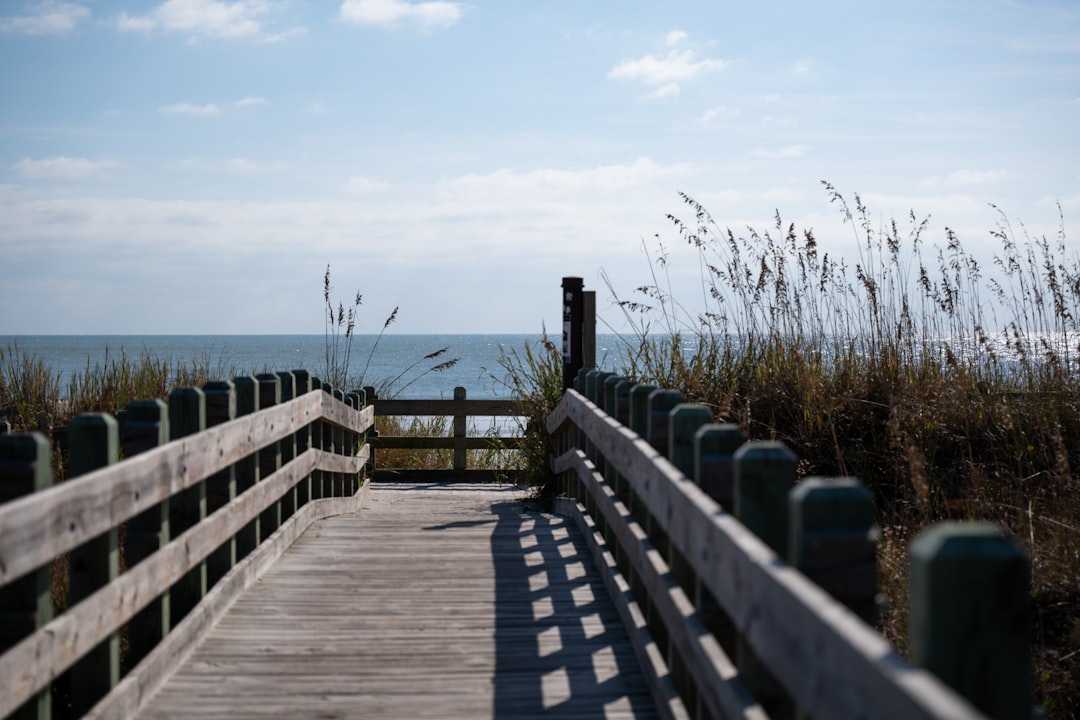 Guide to Getting a Passport in Gillisonville, SC: Steps & Facilities