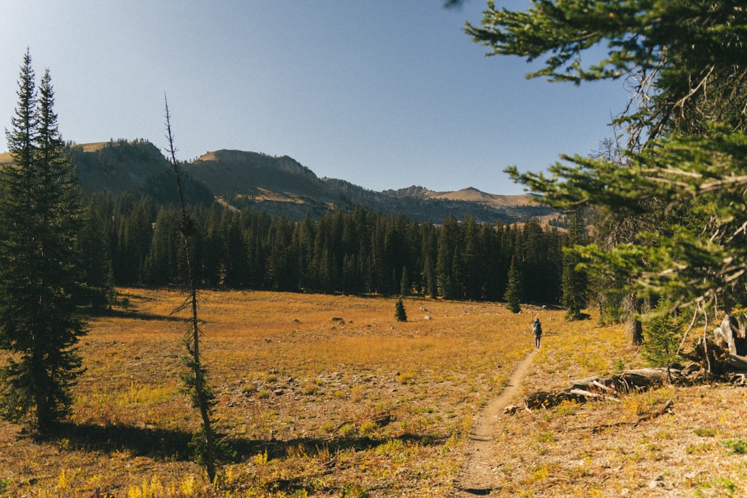 Guide to Getting a Passport in Huntley, WY: Forms, Facilities & Tips