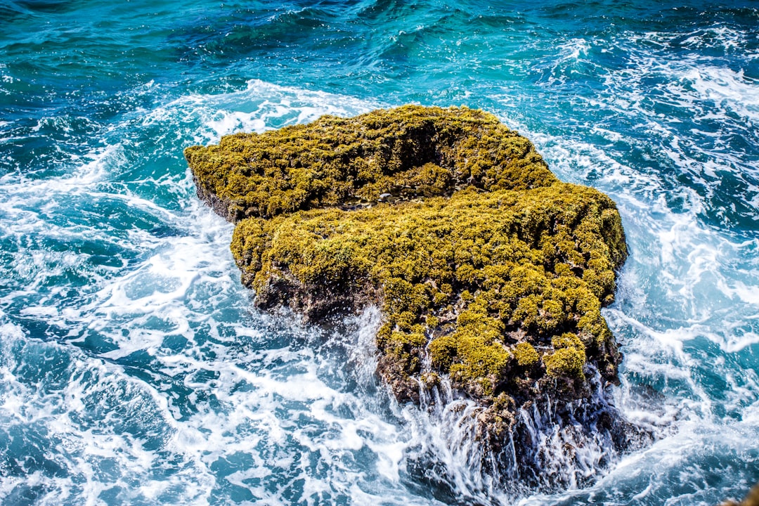 Guide to Getting a Passport in Ramos, PR: Steps & Facilities