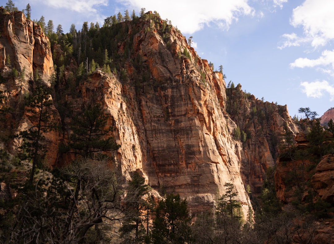 Guide to Getting a Passport in Rockville, UT Near Zion