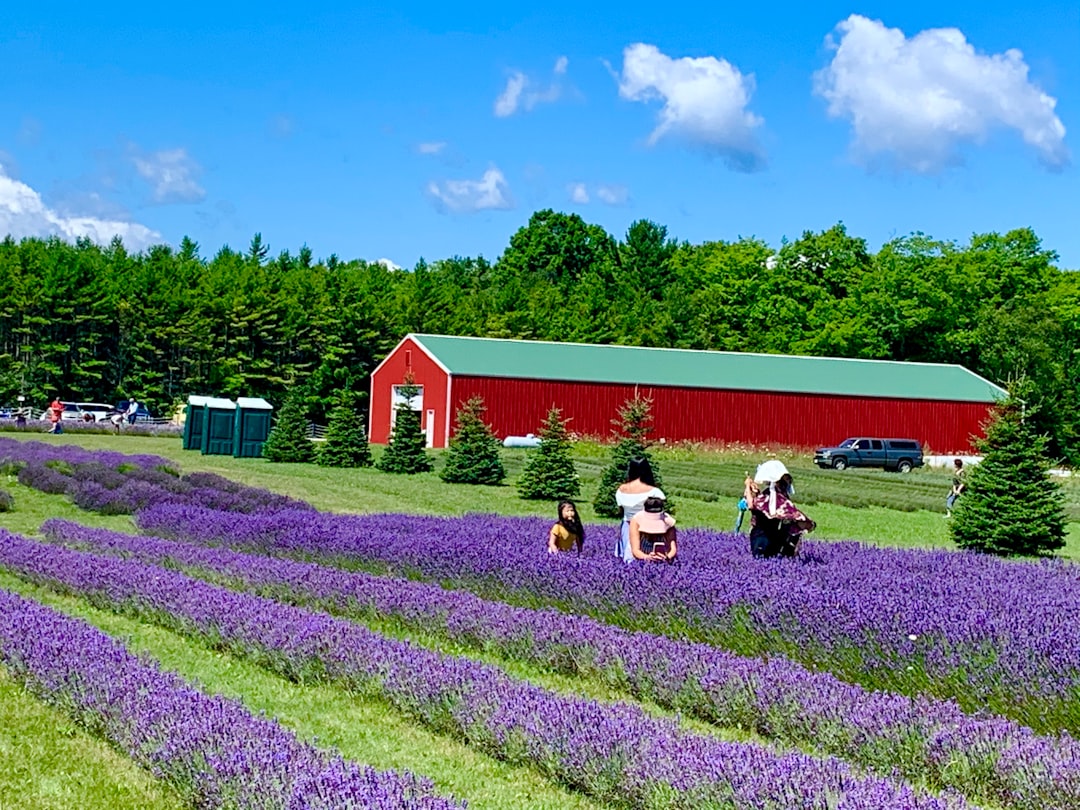 Guide to Getting a Passport in Taylor, Wisconsin: Steps & Locations