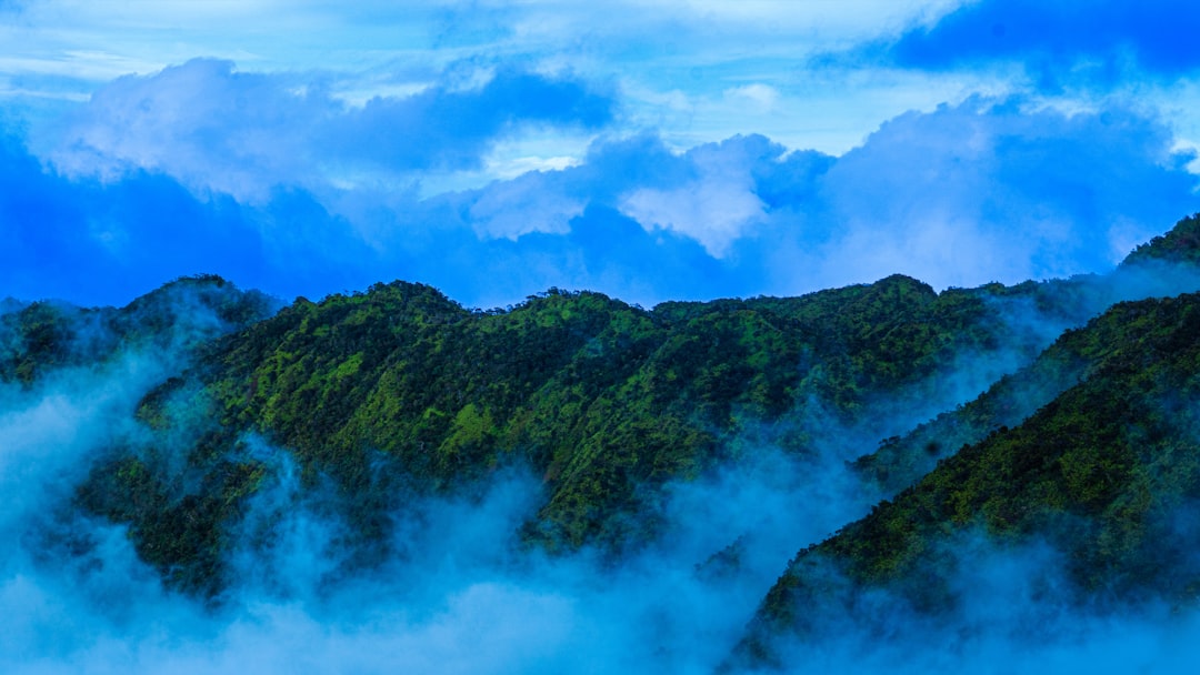 Guide to Getting a U.S. Passport in Wailua Homesteads, HI