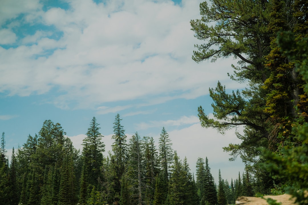 Guide to Getting Passport in Idaho Falls, ID: Steps & Locations