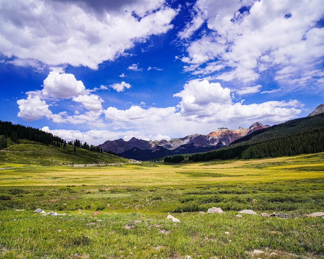 Guide to Obtaining a Passport in Columbine Valley, CO