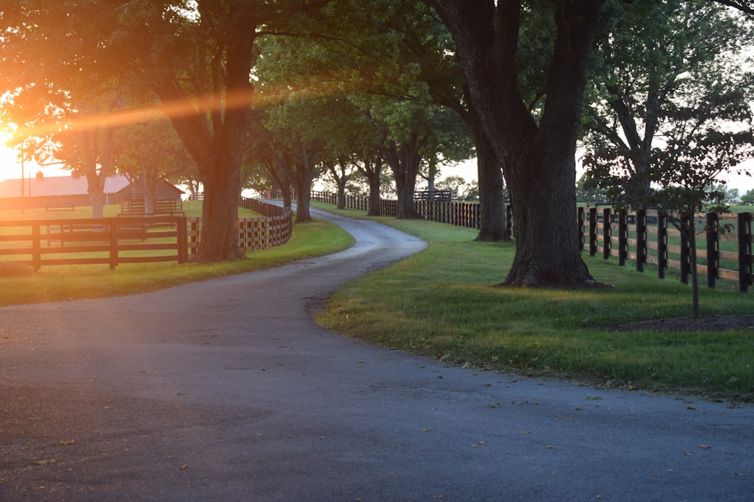 Guide to Obtaining a Passport in Dexter, KY: Locations & Requirements