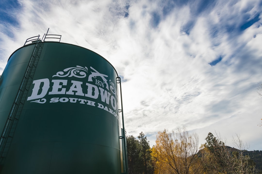 Guide to Obtaining a Passport in Vermillion, SD