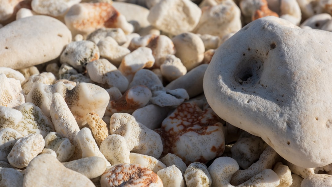 Guide to Passport Applications in Makakilo, HI: Steps & Facilities