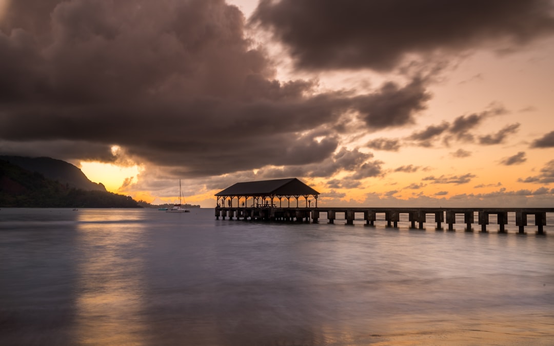 Guide to Passport in Honomu, HI: Hilo Facilities & Steps