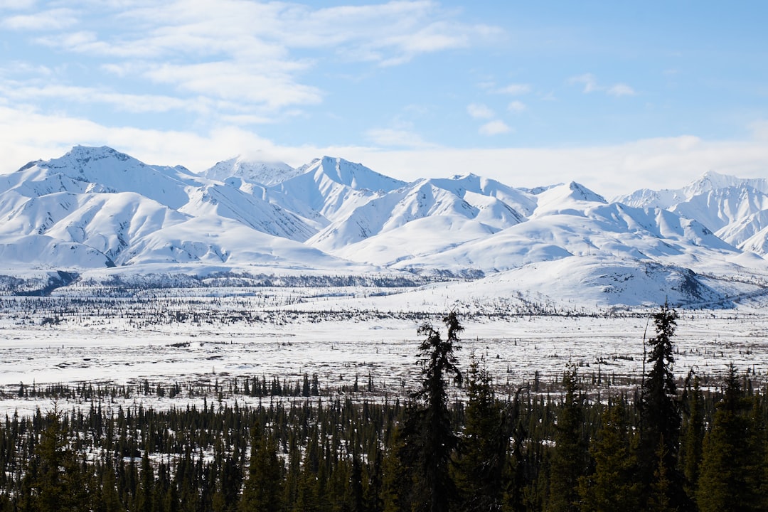 Guide to Passport in Tetlin AK: Apply Renew at Tok Fairbanks