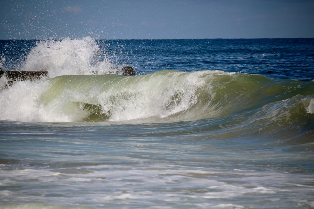 Guide to Passports in Camden, DE: Apply, Renew, Replace