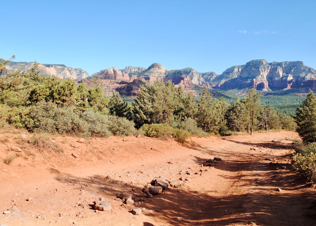 Guide to U.S. Passport Application in Corona de Tucson, AZ