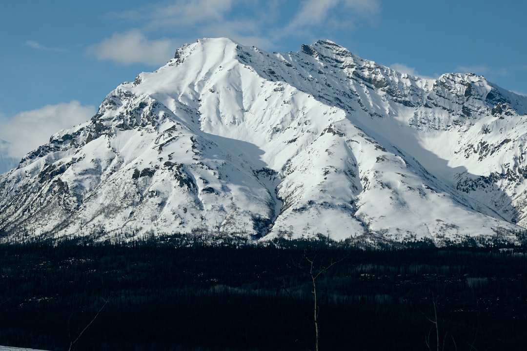Healy Lake AK Passport Guide: Apply, Renew, Facilities Nearby