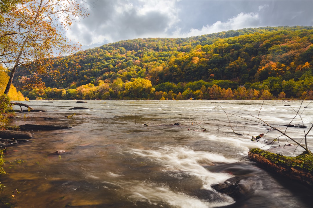 Henderson WV Passport Guide: First-Time, Renewals, Point Pleasant Facilities