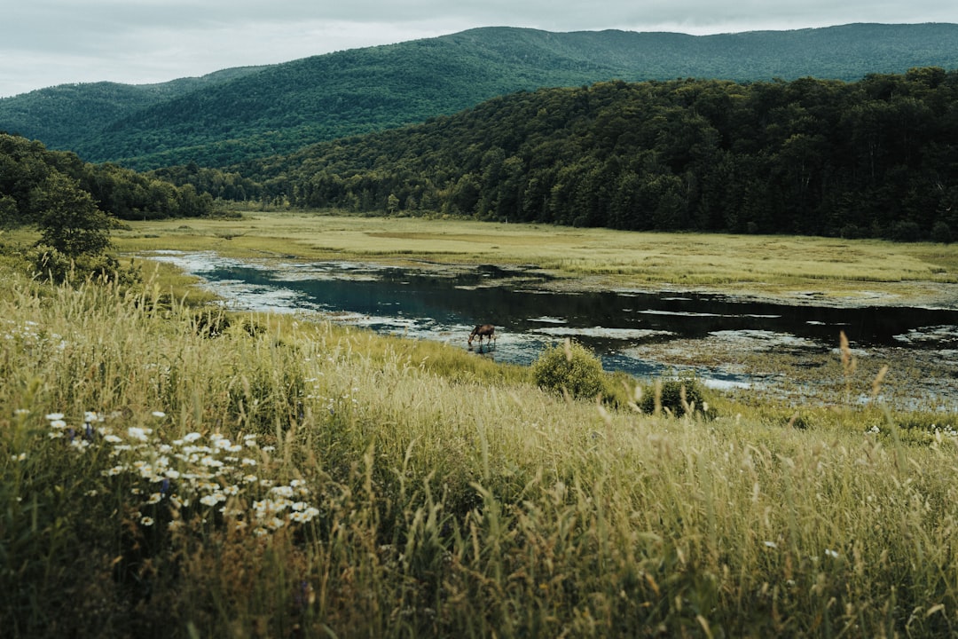 Highgate Springs VT Passport Guide: Facilities, Steps, Renewals