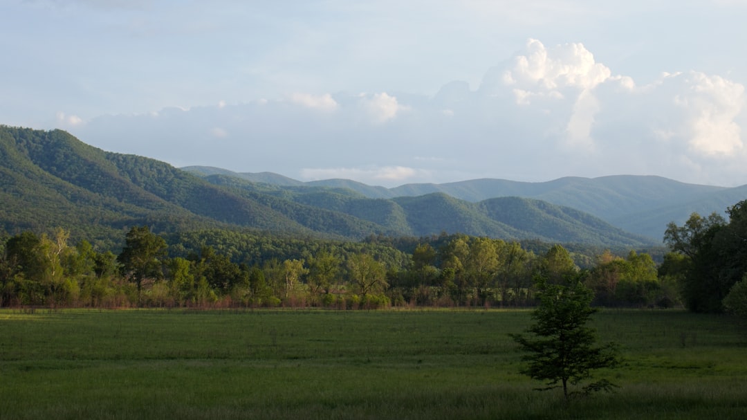 Hohenwald, TN Passport Guide: First-Time, Renewal, Child & Facilities