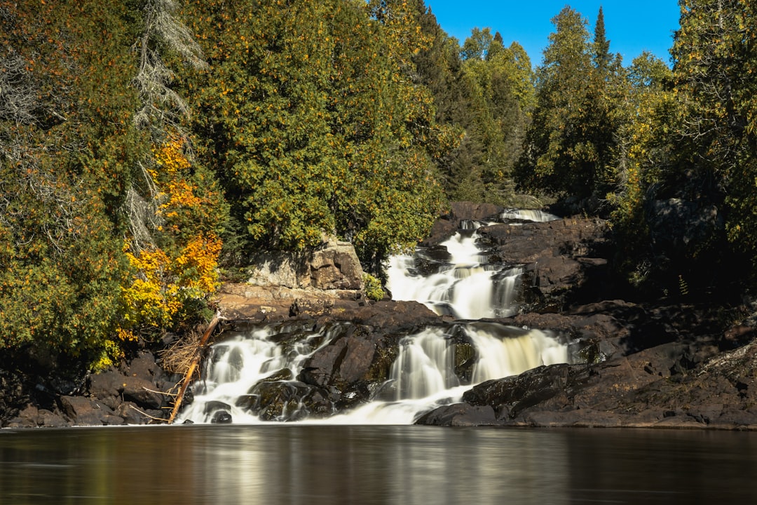Hollandale MN Passport Guide: Forms, Facilities & Rural Tips
