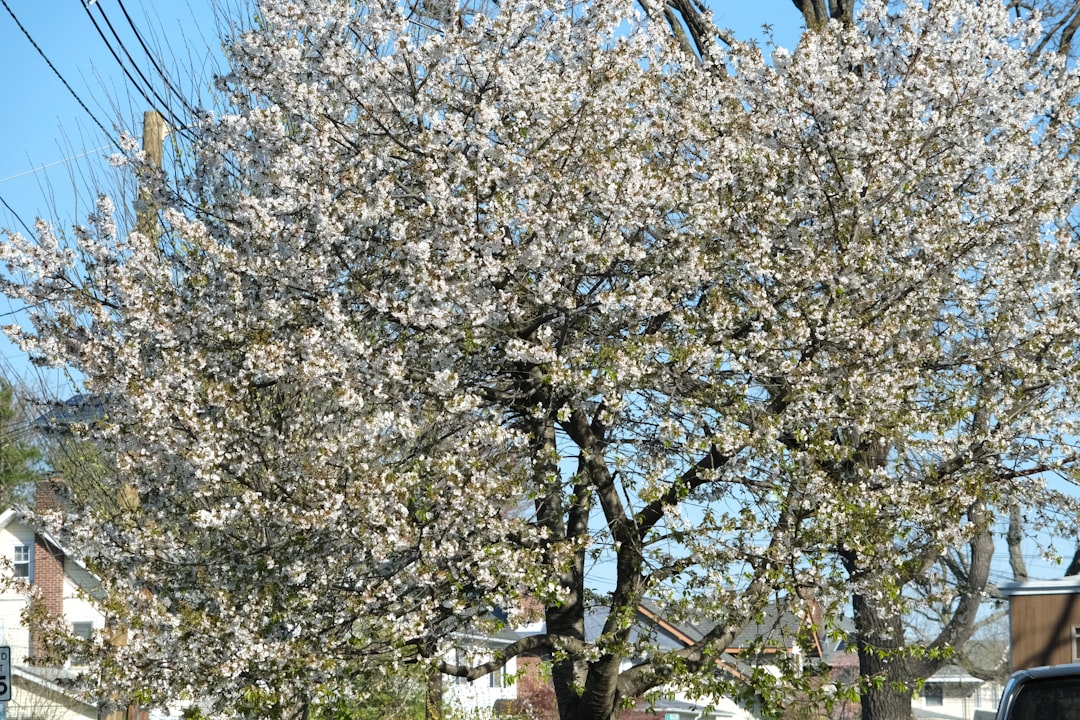 Hopatcong, NJ Passport Guide: Steps, Forms & Facilities