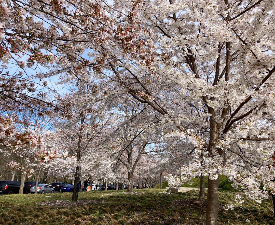 Hoquiam WA Passport Guide: First-Time, Renewals & Facilities