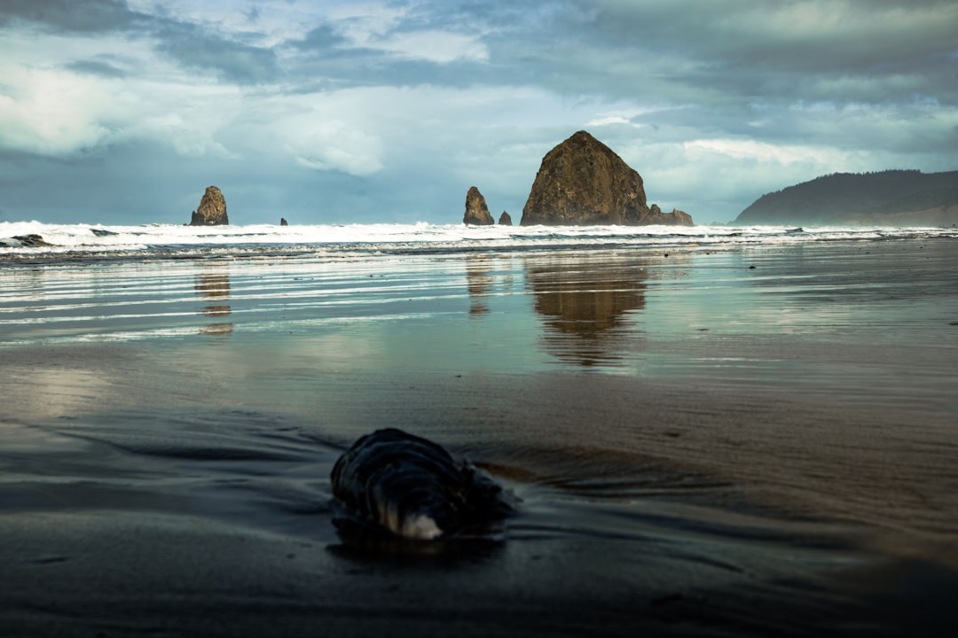 How to Apply for Passport in Hayesville, OR: Steps & Facilities