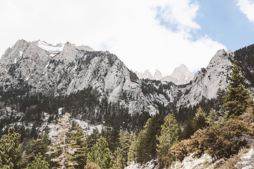 How to Apply for Passport in Priceville AL: Facilities & Tips