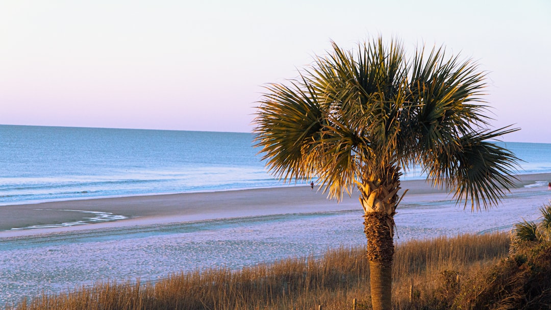 How to Apply for Passport in Ruby, SC: Guide & Facilities