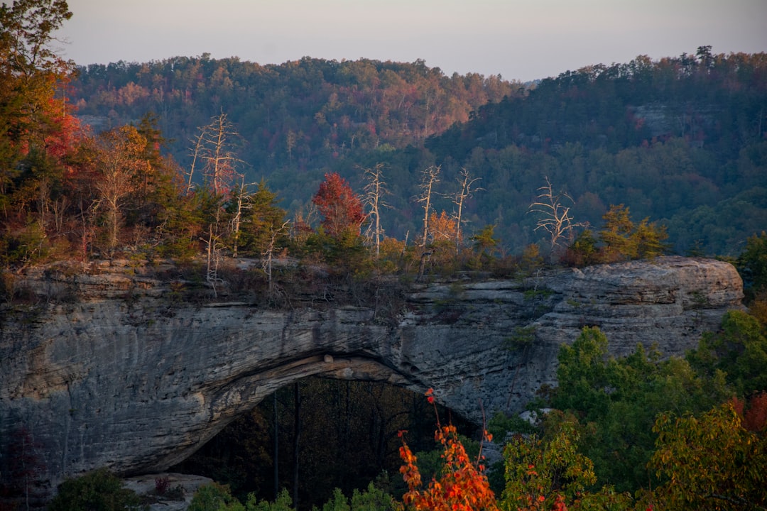 How to Get a Passport from Rabbit Hash, KY: Nearby Facilities